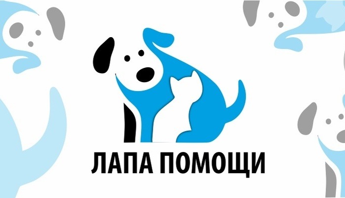 Акция ко Всемирному дню защиты животных.