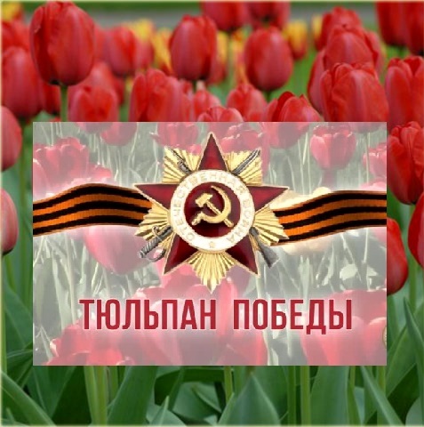 Акция "Тюльпан Победы"(итог).