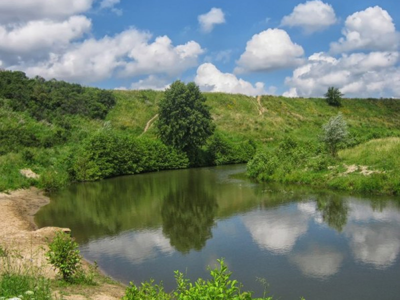 Реки Рязанской Области Фото